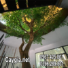 Cây Xanh- Mẫu 003
