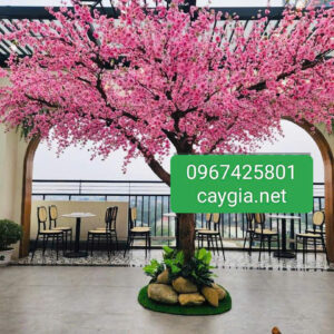 Cây Anh Đào- Mẫu 15