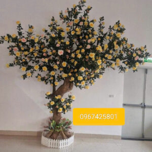 Cây Hoa Hồng Giả- Mẫu 001