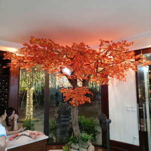 Cây Phong Giả- Mẫu 005