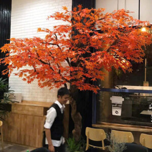 Cây Phong Giả- Mẫu 006