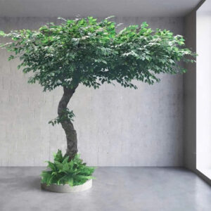 Cây Xanh- Mẫu 009