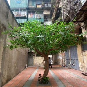 Cây Xanh- Mẫu 003