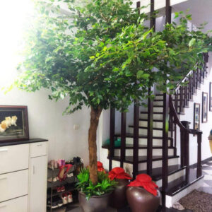 Cây Xanh Giả- Mẫu 008