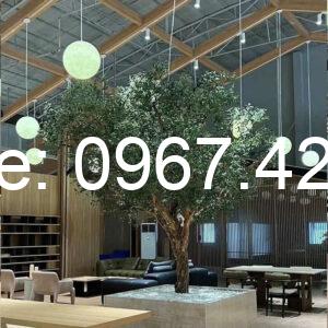 Cây Cảnh Giả- Mẫu 002
