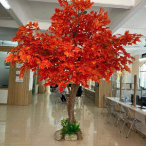 Cây Phong- Mẫu 008