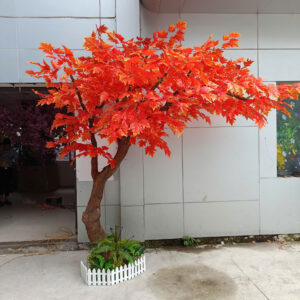 Cây Phong- Mẫu 009