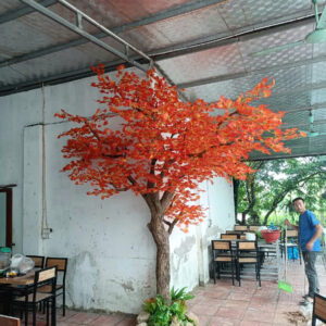 Cây Phong- Mẫu 10