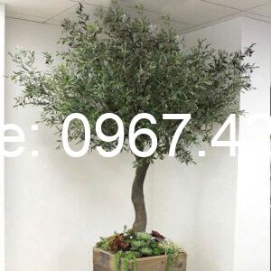 Cây Giả- Mẫu 10